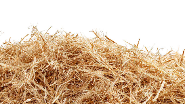 Close-up of Dry Straw Texture for Agriculture and Farming Backgrounds.