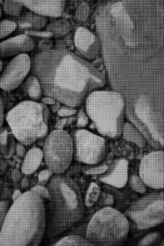 Halftone Pebble Background with Large Copy Space on Right