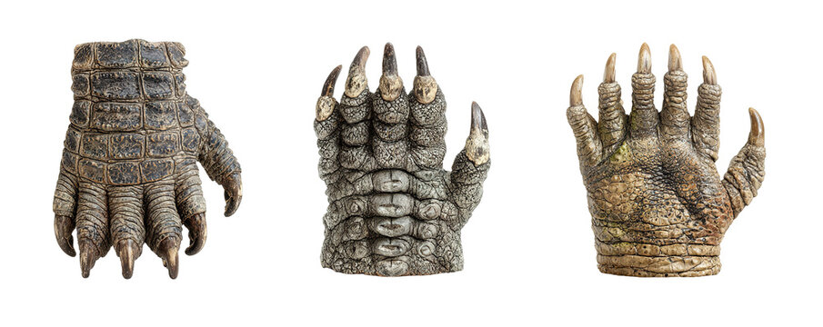 Three Detailed Zombie Hands with Decay and Rot Effects.
