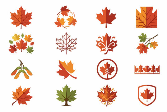 Stylized maple leaf logo and branding icon set.