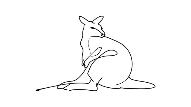 Minimalist kangaroo line art illustration white background.