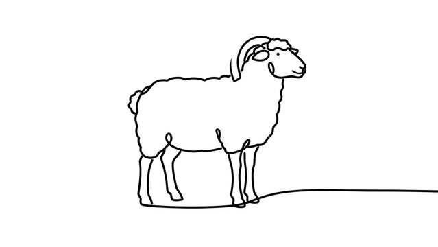 Simple line drawing of a sheep on white background.