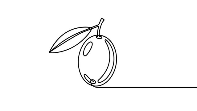 Minimalist olive illustration on white background.