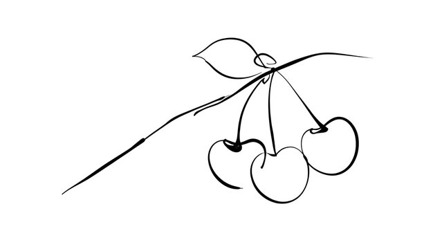 Minimalist line art cherries on stem white background.
