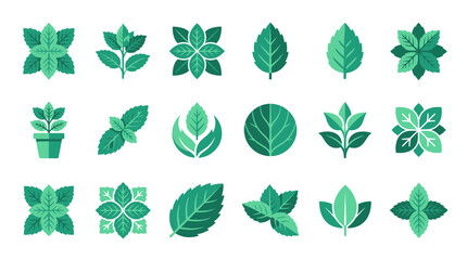 Stylized green mint leaf icons and herbal symbols. © Zikzee