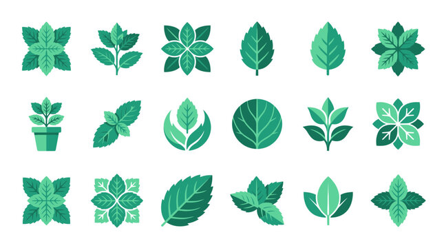 Stylized green mint leaf icons and herbal symbols.