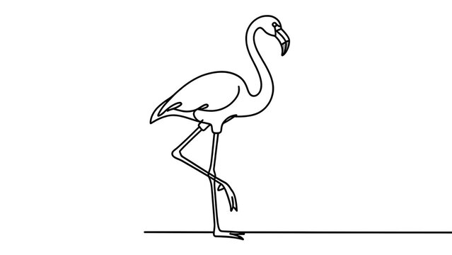 Elegant flamingo line art illustration white background.