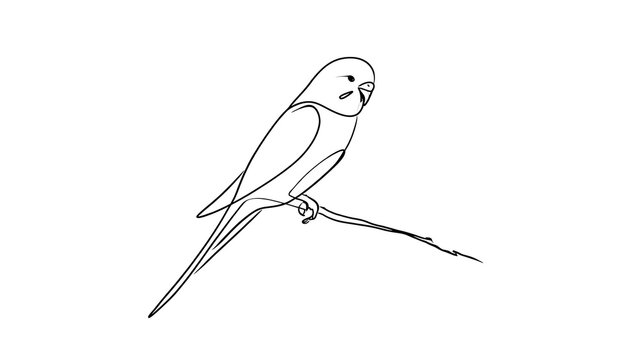 Line art bird illustration on white background.