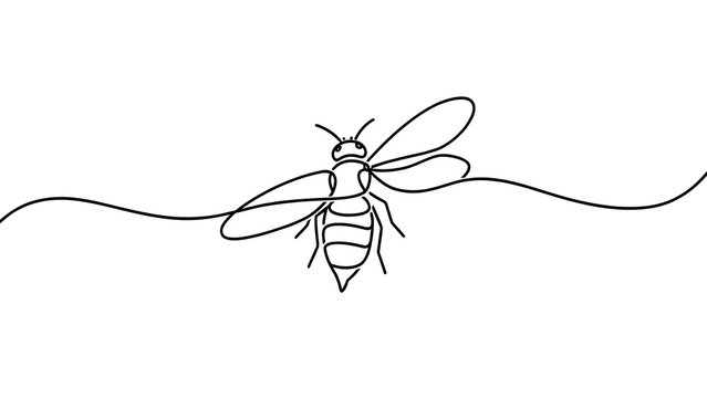 Minimalist bee line drawing on white background.
