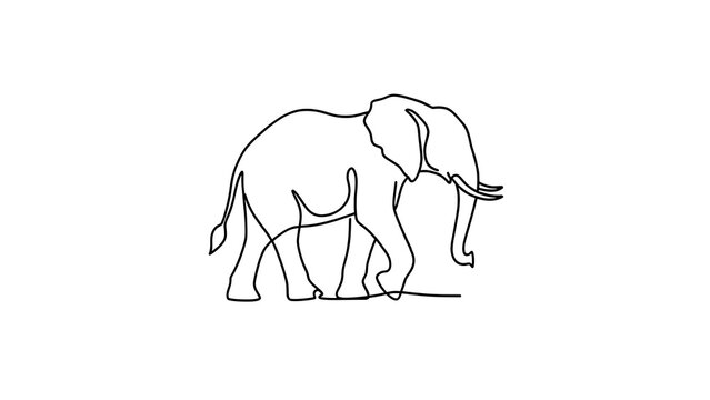 Minimalist line art elephant drawing white background.
