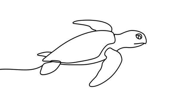 Simple line art turtle drawing white background.