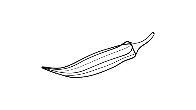 Black and white chili pepper illustration white background.