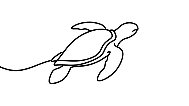 Minimalist turtle line art drawing white background.