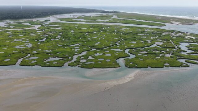 Narrow channels meander through an extensive salt marsh in Pleasant Bay, Cape Cod. Marshes provide critical habitat for many birds, fish, and marine invertebrates to feed, mate, and nest.