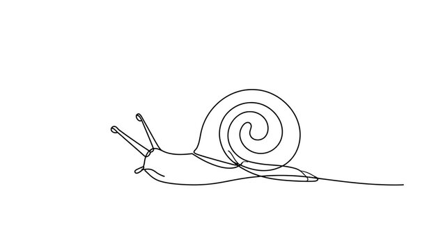 Minimalist snail line art illustration white background.