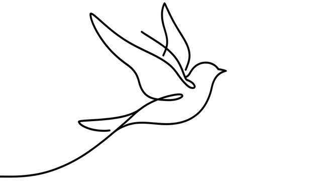 Minimalist bird line art drawing white background.