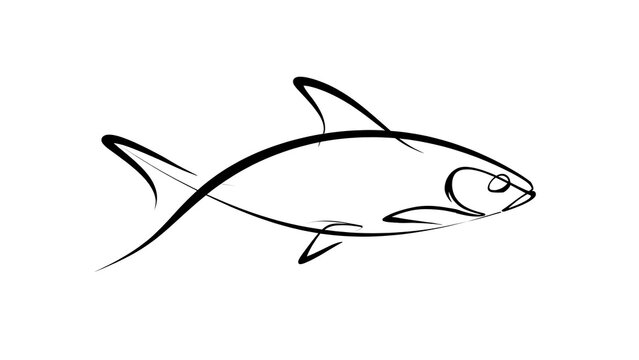 Minimalist fish line art on white background.