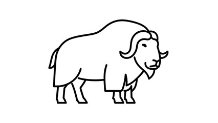 Fototapeta premium Simple black line drawing of a muskox on white background.