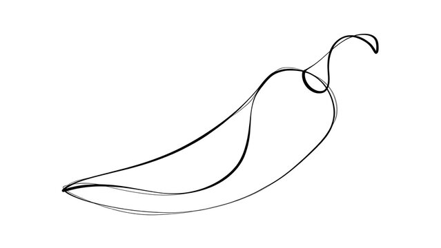 Simple chili pepper line drawing white background.