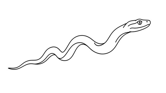 Simple snake line drawing on white background.
