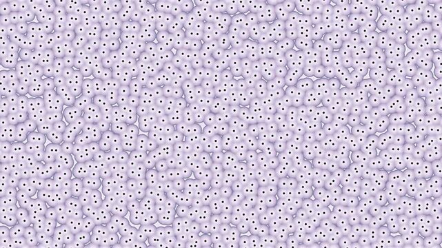 Generative Cellular Automata Digital Pattern Animation