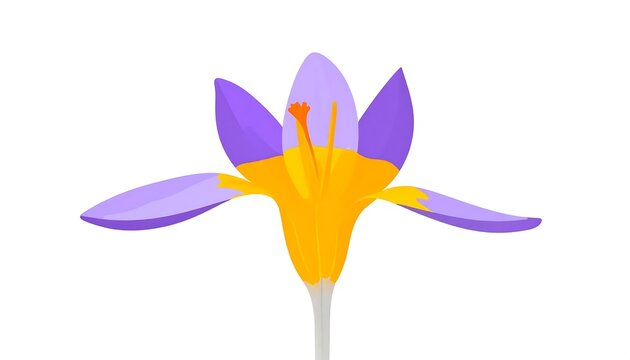 Vibrant purple and yellow iris flower illustration.
