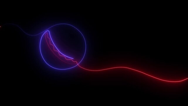 Glowing neon Cricket ball Game icon isolated on black background. HD Video motion graphic animation