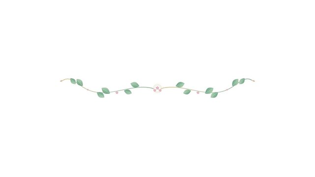 Elegant Floral Vine Divider Animated Flourish