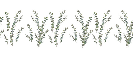 Seamless border with watercolor eucalyptus on white background. Hand-drawn botanical for wedding celebration. Green blue branch with leaves. Winter rim for wrapping or wallpaper and sketchbook © NatashaKun