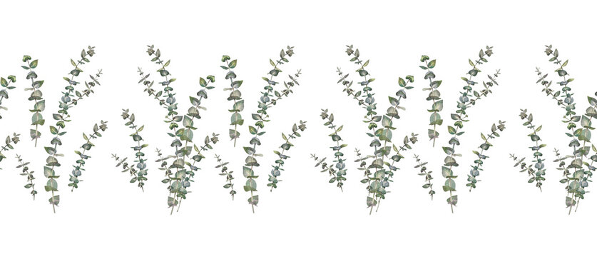 Seamless border with watercolor eucalyptus on white background. Hand-drawn botanical for wedding celebration. Green blue branch with leaves. Winter rim for wrapping or wallpaper and sketchbook
