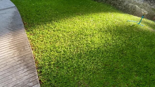 Garden sprinkler spraying water over lush green lawn