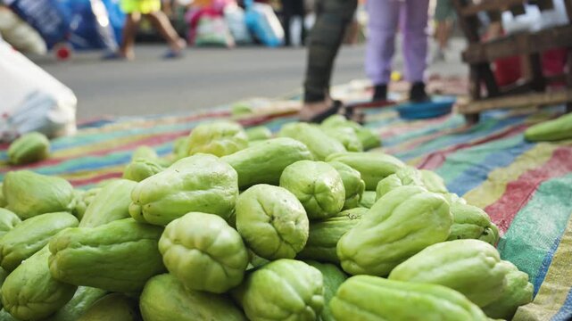 Chayote Being Added to a Roadside Produce Display