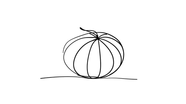 Minimalist pumpkin drawing on white background.