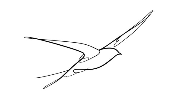 Minimalist bird drawing on white background.
