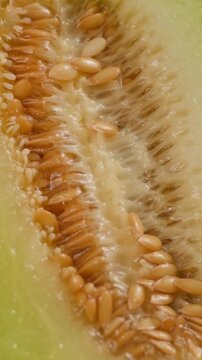 Melon close up, man cutting Watercolor of a whole melon and slice, summer juicy fruit