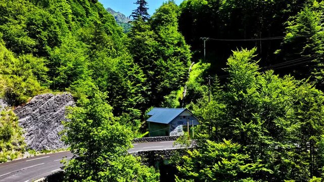 Aerial vertical ascent through green forested valley revealing winding road and rocky peaks near Col d'Aubisque, Pyrenees