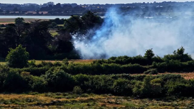 Wildfire spreading through dry grass and trees, producing a dense column of white smoke