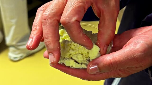 Hands pinch and inspect clumpy yellow curd sample texture in petri dish during dairy quality control testing