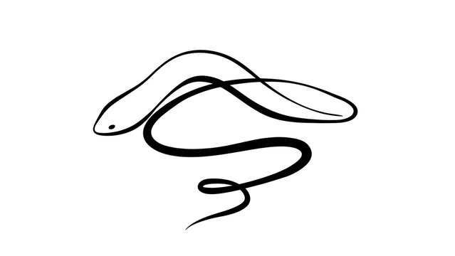 Minimalist snake illustration on white background.
