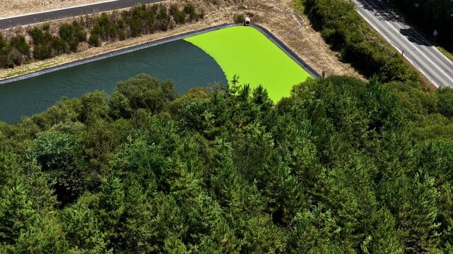 Aerial view shows dairy factory wastewater pond with drainage pipe discharging effluent causing toxic green algae bloom beside forest and rural road