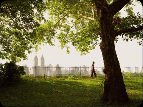 Person walking on pathway past Central Park Reservoir with San Remo skyline view and lush tree foliage in Manhattan New York City