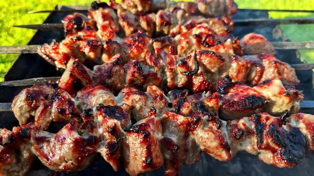Juicy meat skewers grilling over open coals at an outdoor barbecue event