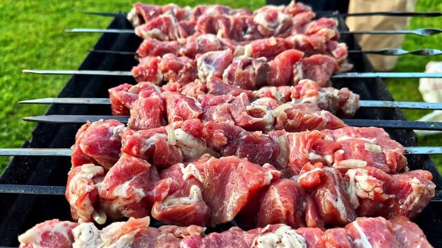 Raw pork skewers marinating on a barbecue grill before cooking over hot charcoal coals