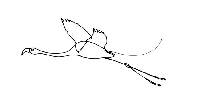 Minimalist bird drawing in flight white background.