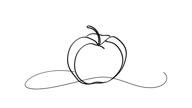Minimalist line art apple drawing white background.