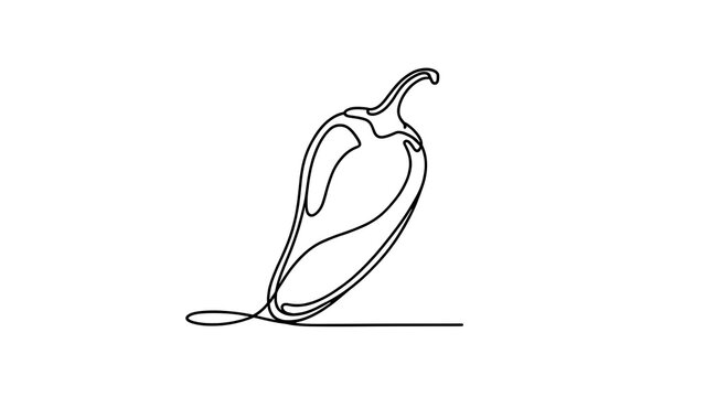 Minimalist chili pepper line art white background.