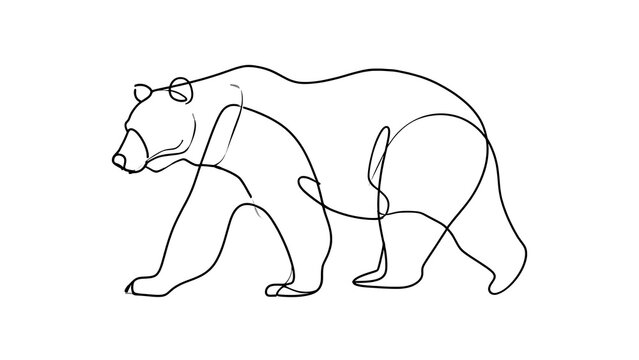 Minimalist bear line art drawing white background.