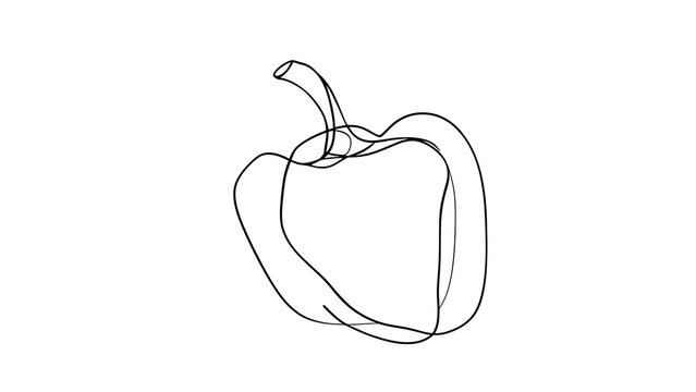 Hand drawn bell pepper sketch white background.