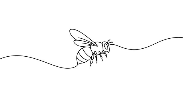Minimalist bee line drawing white background.