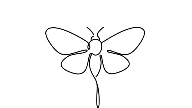 Minimalist butterfly line art on white background.
